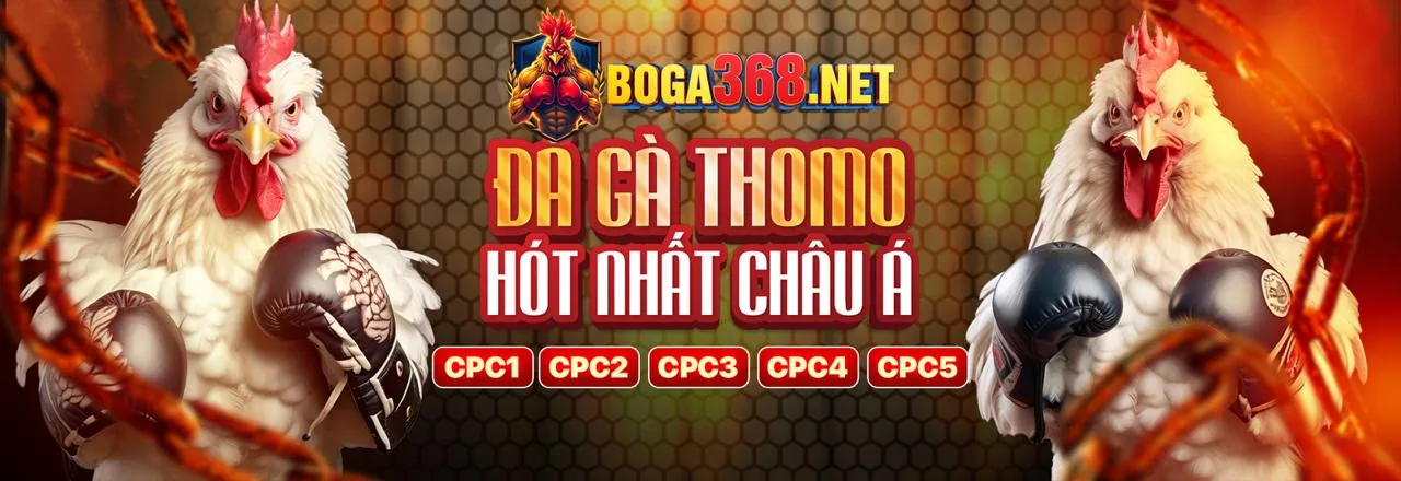 Hình ảnh xử lý sự cố đăng nhập Loto188